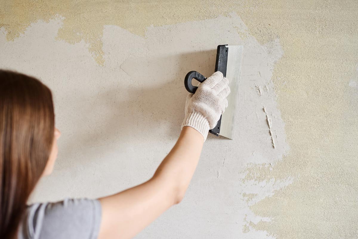 Elevate Your Home with Expert Plaster and Painting Services